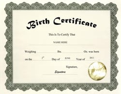 birth certificate image 2