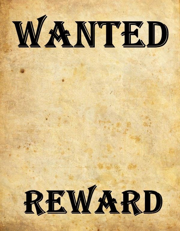 9 Wanted Poster Templates Word Excel Pdf Formats