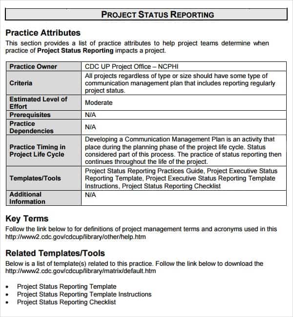 Story Report Template