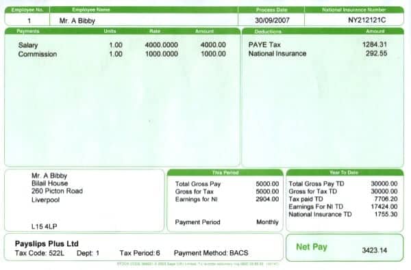 payslip template 8