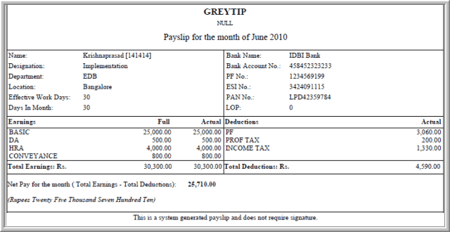 payslip template 9