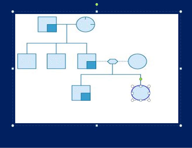 online genogram maker